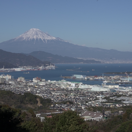 職場は静岡中心