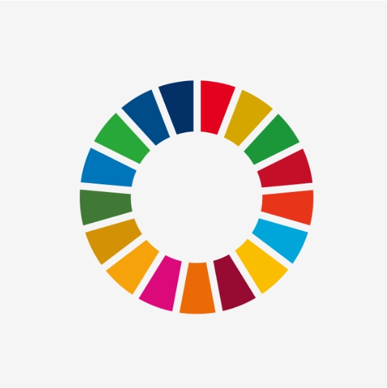 SDGs